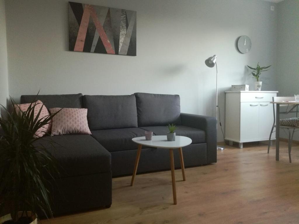 Apartment Marija スレムスカ・ミトロヴィツァ エクステリア 写真