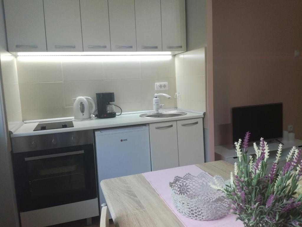 Apartment Marija スレムスカ・ミトロヴィツァ エクステリア 写真