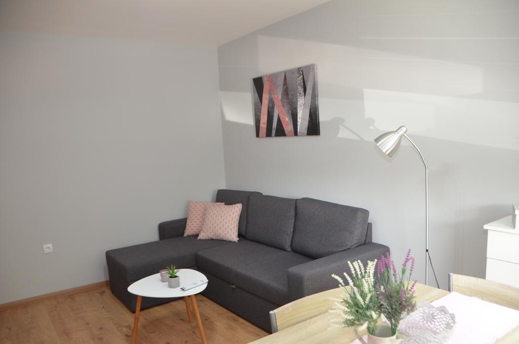 Apartment Marija スレムスカ・ミトロヴィツァ エクステリア 写真