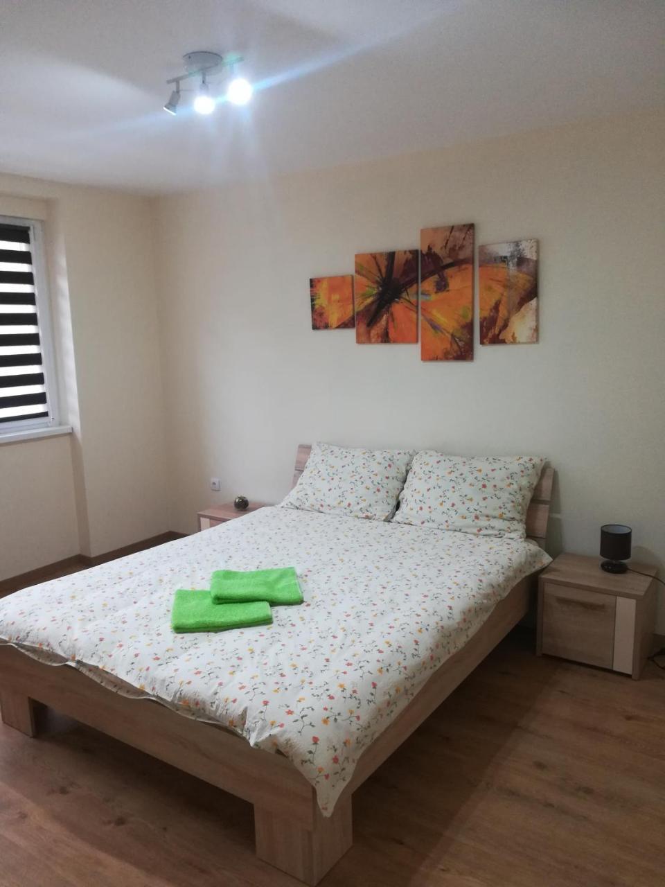 Apartment Marija スレムスカ・ミトロヴィツァ エクステリア 写真
