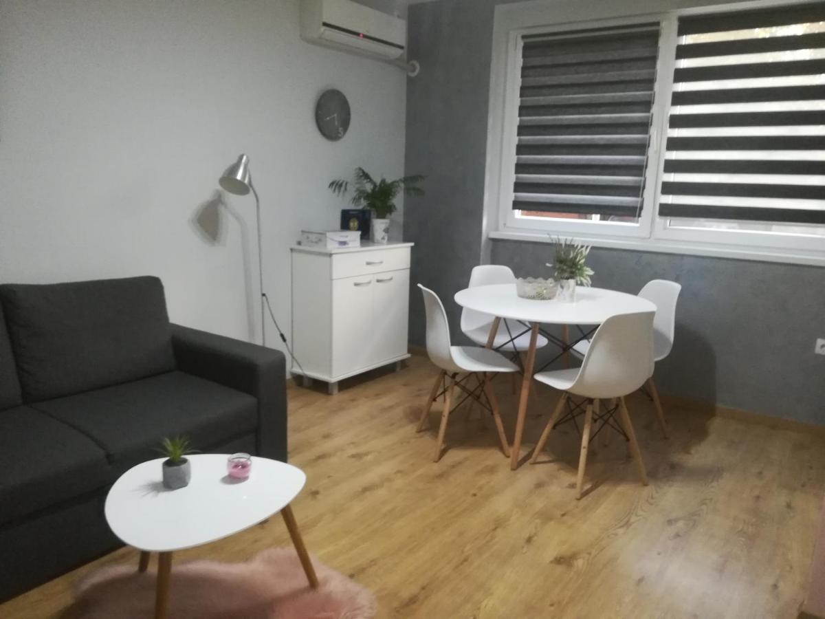 Apartment Marija スレムスカ・ミトロヴィツァ エクステリア 写真